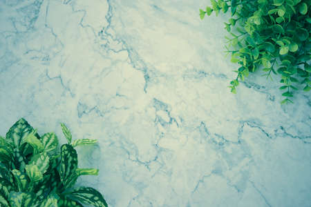 Modern Clean Flat Lay or Top View Office Desk or Office Table and Office Plants or Tree at Bottom Left and Top Right Corner on Marble Minimalist Background in Vintage Toneの写真素材