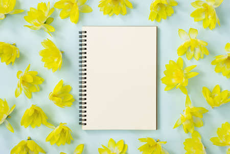 Spiral Notebook or Spring Notebook in Unlined Type and Yellow Flowers on Blue Pastel Minimalist Backgroundの写真素材
