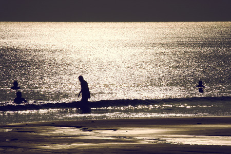 Indians bathe during sunset at Radhanagar beach of Havelock Island, Andaman and Nicobar Islandsの写真素材