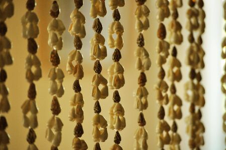 Silang, Cavite, Philippines, August 27, 2010: Pucca shells used as a decoration at a country inspired houseのeditorial素材