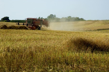 Harvestの写真素材