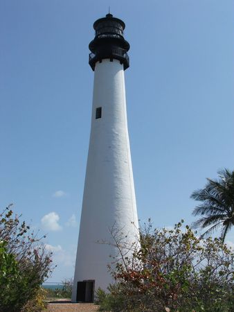 Standing Tallの写真素材