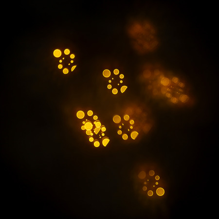 beautiful gold bokeh with pattern of geometric elements on a dark background
