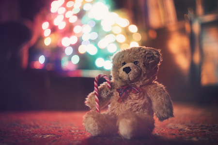 Teddy bear before the glowing christmas treeの写真素材