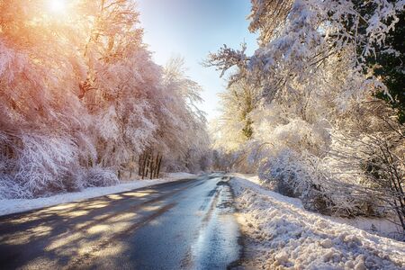 winter landscapeの写真素材