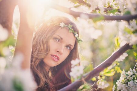 Beauty in springの写真素材