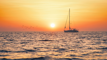 Sailboat in the sunrise, birds flying over the seaの写真素材