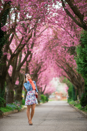 Young woman talking with her phone in a beautiful park at spring blossomの写真素材
