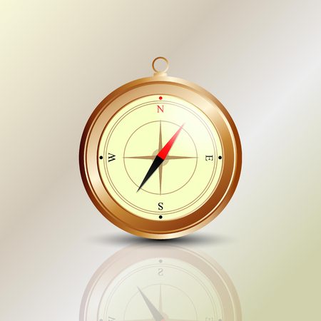 Vector illustration. Bright compass with mirror imageのイラスト素材