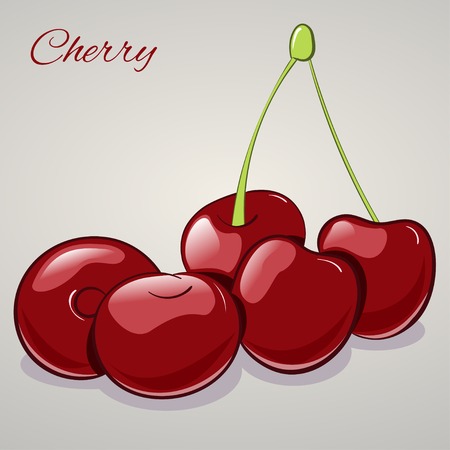 Cartoon sweet cherries isolated on grey background, vector illustration. Fruits and vegetables collection.のイラスト素材