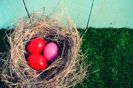 Colorful Easter eggs in a bird nest.の写真素材