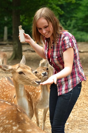 Young laughing woman feeding deer in the parkの写真素材