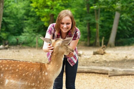 Woman feeding and stroking a young deerの写真素材