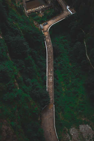 Road surrounded by green nature, aerial drone, above viewの写真素材