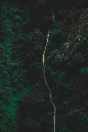 Road surrounded by green nature, aerial drone, above viewの写真素材