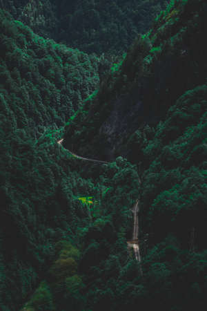 Road surrounded by green nature, aerial drone, above viewの写真素材