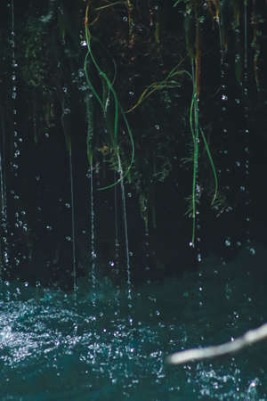 Waterfall clear water, beautiful nature, freshの写真素材