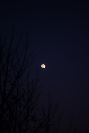 Fool moon at night, silence, blue skyの写真素材