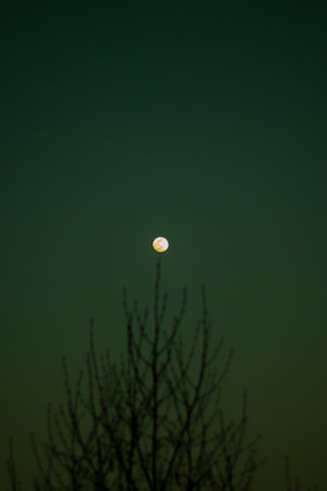 Fool moon at night, silence, green sky, moodyの写真素材