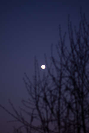 Fool moon at night, silence, purple skyの写真素材