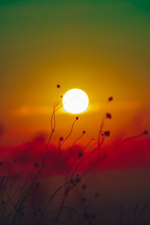 Sunset and beautiful light, sunlight illuminating the colorful sky, clouds, beautiful nature