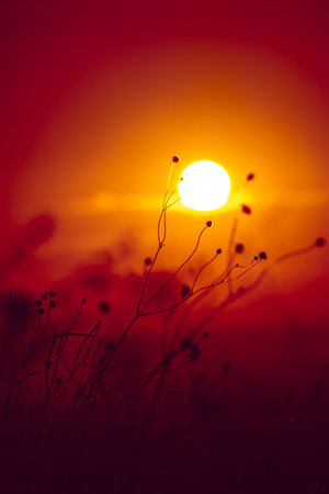 Sunset and beautiful light, sunlight illuminating the colorful sky, clouds, beautiful natureの写真素材