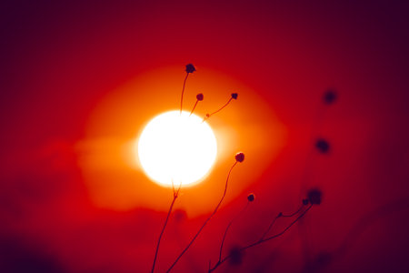 Sunset and beautiful light, sunlight illuminating the colorful sky, clouds, beautiful natureの写真素材