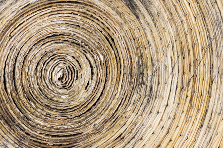 Abstract wooden material backgroundの写真素材