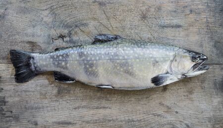 Small trout on wooden board