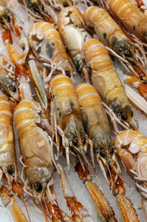 Fresh seafood on iceの写真素材