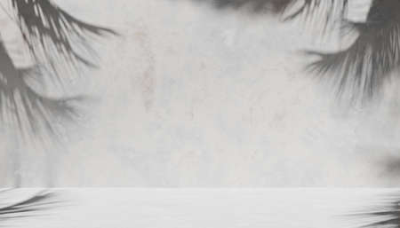 Empty product presentation background. Concrete wall and floor with some palm tree shadows on both sides. 3d rendering with copy space in the middleの写真素材