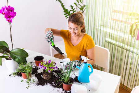 The housewife changes ground for a plant. Care for a potted plant. Work at home. Planting a flower and spring cleaning. Lovely housewife with flower in pot and gardening setの写真素材