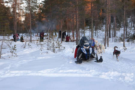 Dog sledding with Husky in Lapland, Sweden, Scandinaviaのeditorial素材