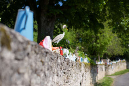Egret on a wall in the park in Prague, Czech Republic