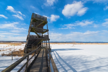 Birdwatching tower in preservation of nature - Winter landscapeの写真素材