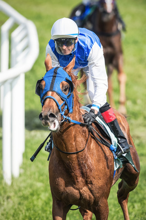 STOCKHOLM - JUNE 6: Closeup of a jockey after a curve at the Nationaldags Galoppen in Gardet. June 6, 2014 in Stockholm, Sweden.のeditorial素材