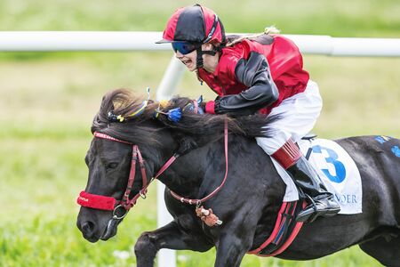 STOCKHOLM - JUNE 6: Excited girl racing her ponny just after the start for children at Nationaldags Galoppen. June 6, 2014 in Stockholm, Sweden.のeditorial素材