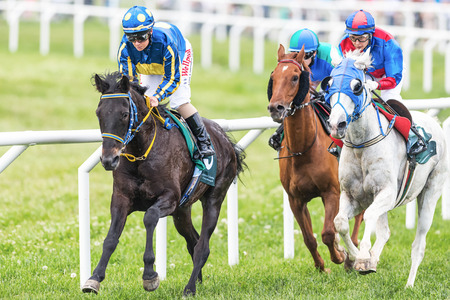 STOCKHOLM - JUNE 6  Three jockeys out of the fourth curve at the Nationaldags Galoppen in Gardet  June 6, 2014 in Stockholm, Sweden のeditorial素材