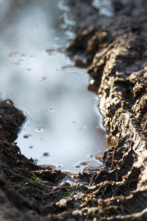 Deep tire track on a rural dirt road after rain during springの写真素材