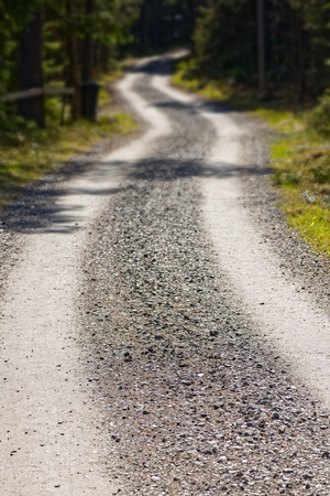 Winding or curvy dirt road through the woods during spring, Swedenの写真素材