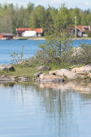 Small island at lake with trees and vegetation, red houses in background. Swedenの写真素材