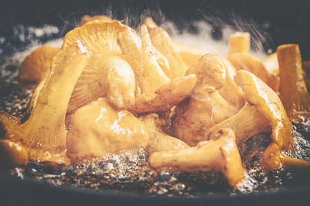 Yellow Chanterelles fried in a skillet on high temprature. Filter appliedの写真素材