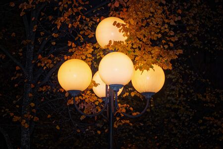 Streetlights during late night with autumn leaves. Swedenのeditorial素材