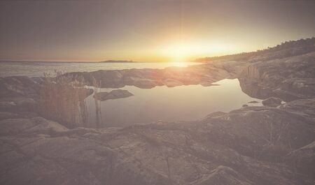 Sunrise over coast with a natural pond and seagrass in foreground. Grisslehamn, Swedenの写真素材