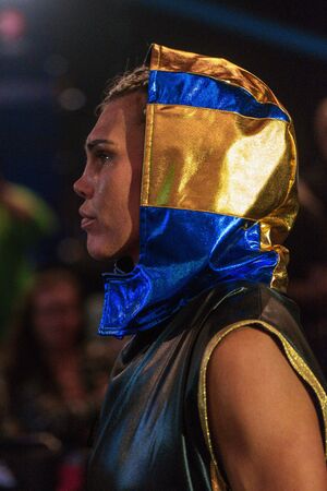 STOCKHOLM, SWEDEN - APRIL 23, 2016: WBC Title boxing match between Mikaela Lauren (SWE) and Ivana Habazin (CRO) Super welterweight. Lauren won TKOのeditorial素材