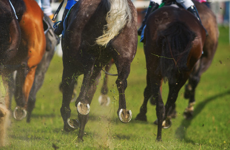 STOCKHOLM, SWEDEN - JUNE 6, 2016: Back of horses in the fierce last curve at the Nationaldags Galoppen at Gardet with the crowd behind.のeditorial素材