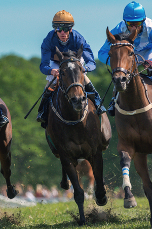 STOCKHOLM, SWEDEN - JUNE 6, 2016: Detail of jockey and race horse at the Nationaldags Galoppen at Gardet.のeditorial素材