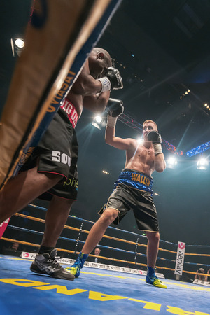 STOCKHOLM, SWEDEN - SEPT 10, 2016: Match between Otto Wallin (SWE) vs Osbourne Machimana (RSA) in heavyweight at The winner takes it all event in boxing. Winner Otto Wallinのeditorial素材