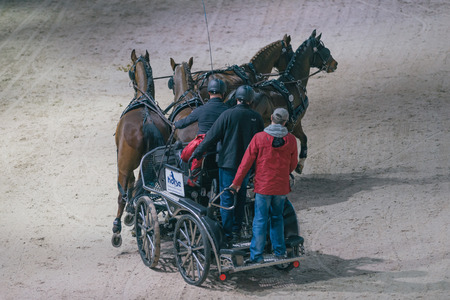 SOLNA, SWEDEN - NOV 26, 2016: Warmup for the drivers in the Sweden International Horse Show at Friends arena.のeditorial素材