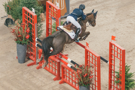 SOLNA, SWEDEN - NOV 26, 2016: Elin Lundin at the Prince Carl Philip prize event in ponny jumping at the Sweden International Horse Show in Friends arena.のeditorial素材